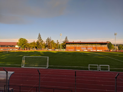 Estadio y Gimnasio Presidente Balmaceda