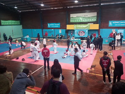 Gimnasio Municipal De Quillota Corvi