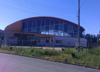 Gimnasio Municipal Las Salinas De Gorbea