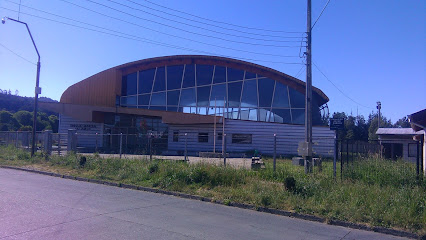 Gimnasio Municipal Las Salinas De Gorbea