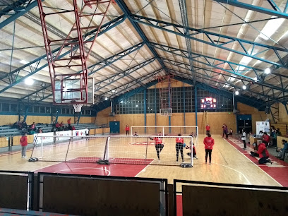 Gimnasio Regional de Coyhaique