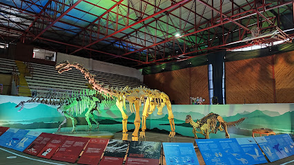 Gimnasio Techado Municipal de Coquimbo