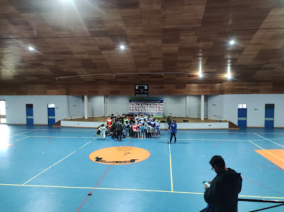 Gimnasio Municipal Chillán Viejo