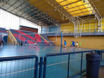 Gimnasio Ignacio Carrera Pinto