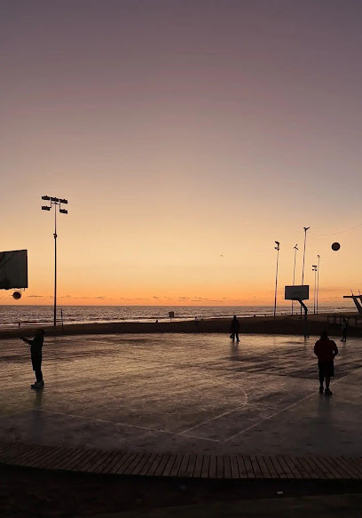 Cancha basketball