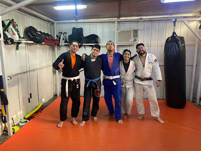 RATAS BRAZILIAN JIUJITSU MMA KICK BOXING CHILLAN