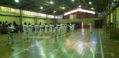 Gimnasio Leopoldo Sanchez