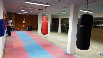 Escuela De Boxeo Arauco