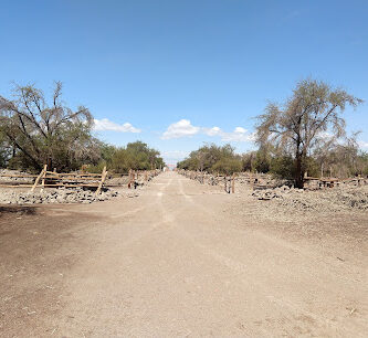 Reserva Nacional Pampa del Tamarugal