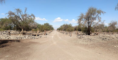 Reserva Nacional Pampa del Tamarugal