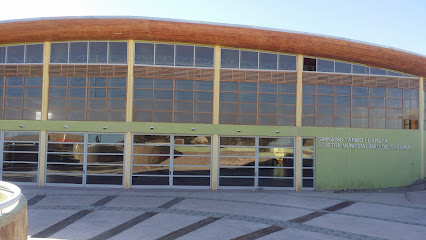 Gimnasio Tambo Llareta