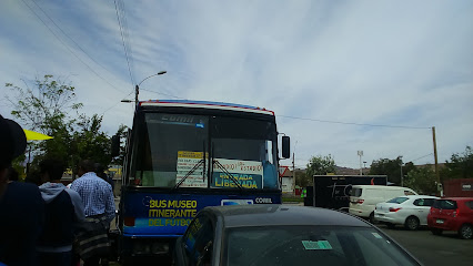 Estadio Techado