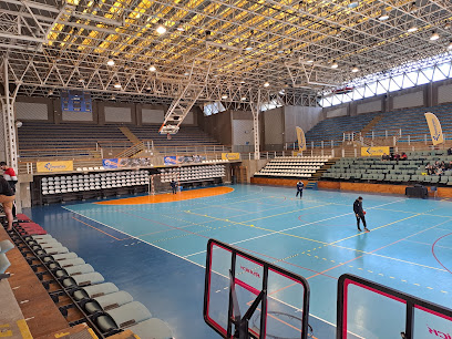 Gimnasio Polideportivo de Viña del Mar