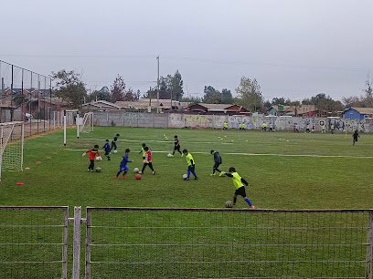 Cancha Pabellon 2018