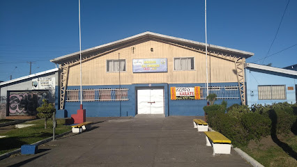 Gimnasio Municipal Los Cóndores