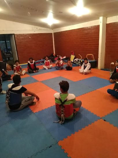 escuela dinastia kwan tkd Wt federada