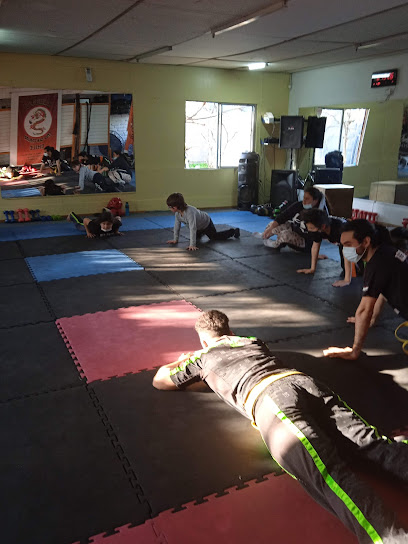 Gimnasio Olimpus Puente Alto