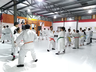 Miyazato Dojo Linares Chile.