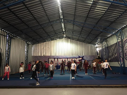 Gimnasio Panthers All Stars