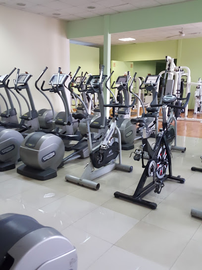 Gimnasio Stargym Gabriela (Puente Alto)