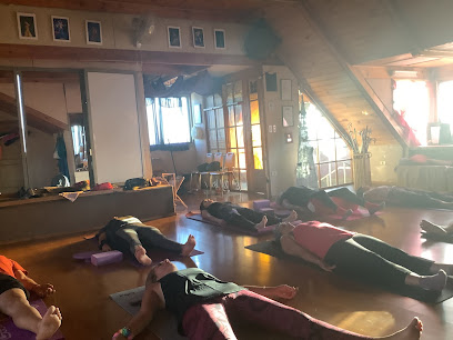 Shambala Yoga Quillota