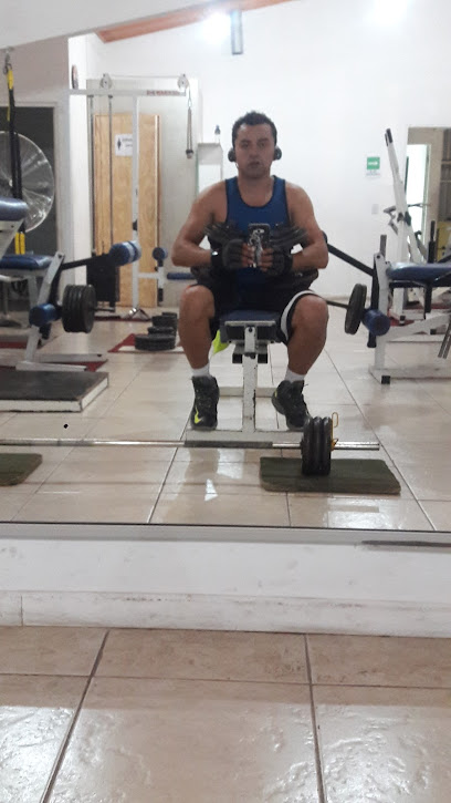 gym natural fitnes