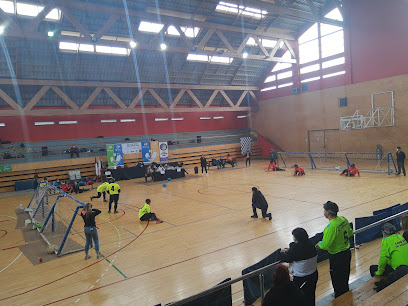 Gimnasio Municipal Carlos Lucas