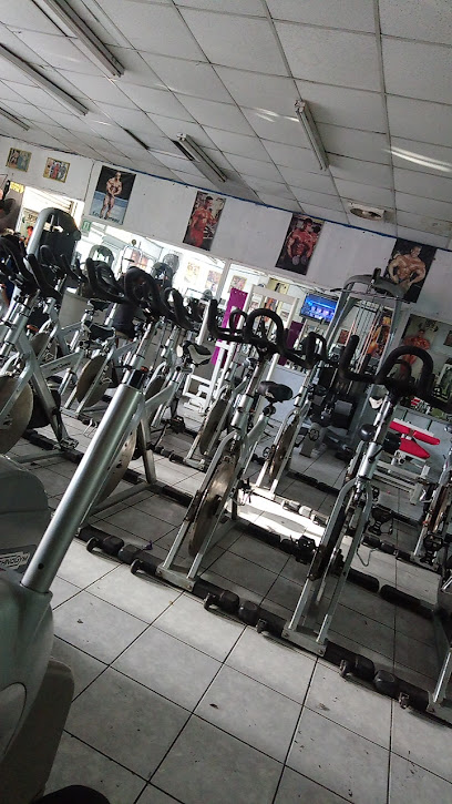 Sport Gym