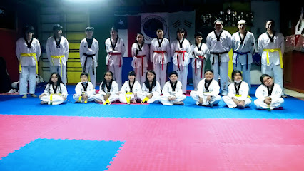 Taekwondo Cobras Quellón