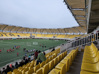 Estadio Lucio Fariña Fernández