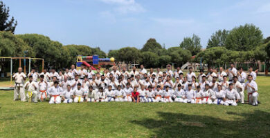 Collao Dojo