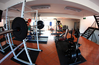 Lyh Fitness Gym