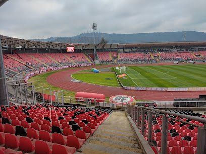 Estadio Fiscal De Talca