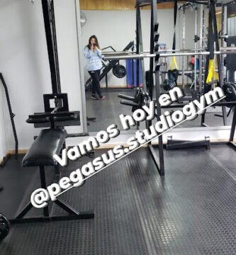 Pegasus Studio Gym