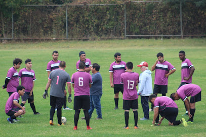 CANCHA CLUB DEPORTIVO LUIS CRUZ MARTÍNEZ DE ROBLERIA