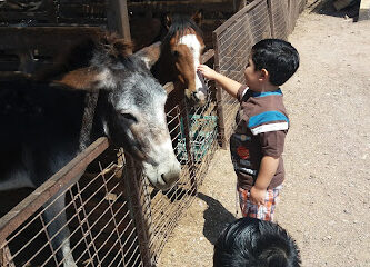 Club de Rodeo de Alto Hospicio