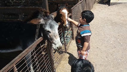 Club de Rodeo de Alto Hospicio