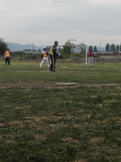 Estadio De Softball