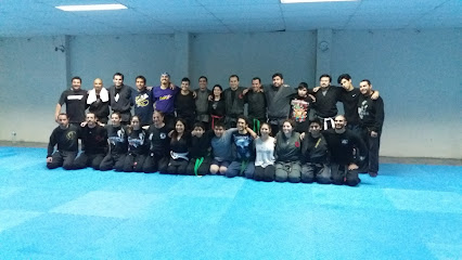 Tatsujin Dojo Antofagasta