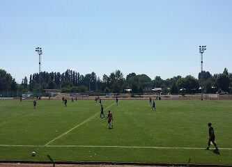 Estadio Municipal De El Carmen.