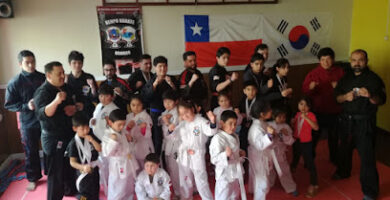 Centro Integral de Artes Marciales