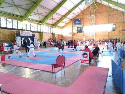 Gimnasio Fiscal Coyhaique