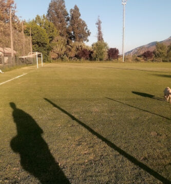 Estadio El Bajo