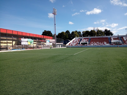 Estadio Castro