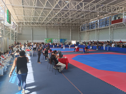 Polideportivo Quillón