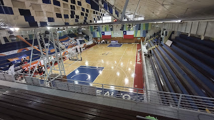 Gimnasio Municipal Irene Velásquez de Puente Alto