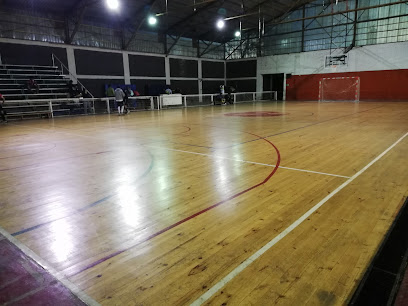 Gimnasio Municipal