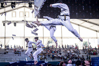 Taekwondo Revolución Iquique