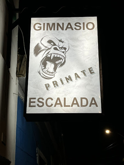 Primate gimnasio de escalada