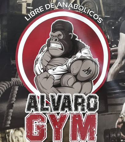 Gimnasio Álvaro